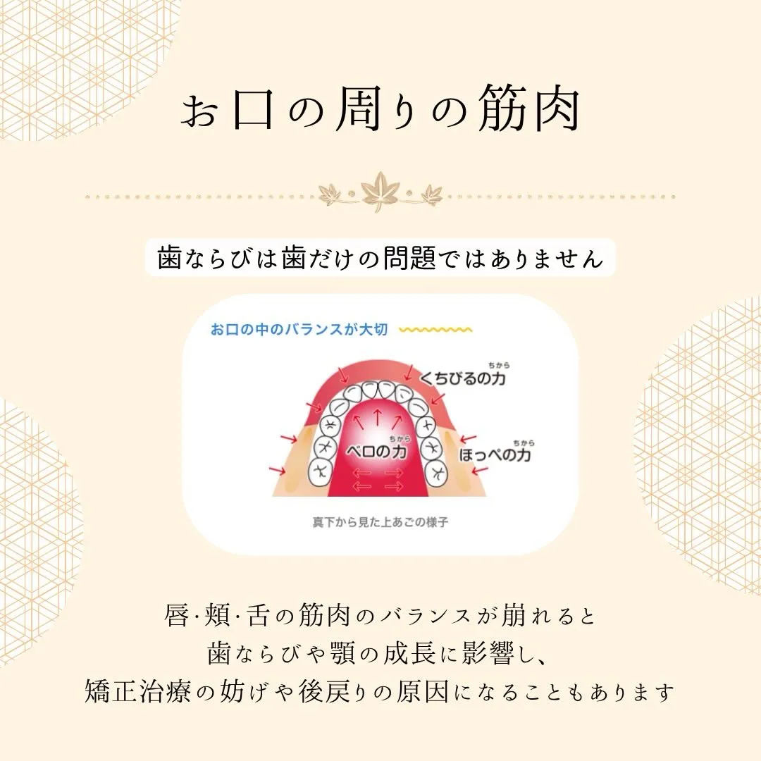 🌱プレオルソって知っていますか?🌱