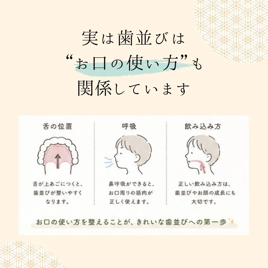 🌱プレオルソって知っていますか?🌱