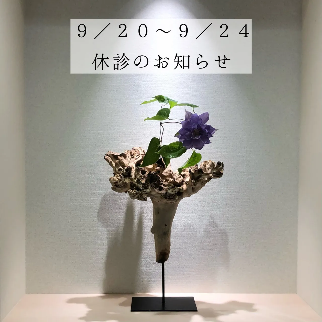 📢 休診のお知らせ